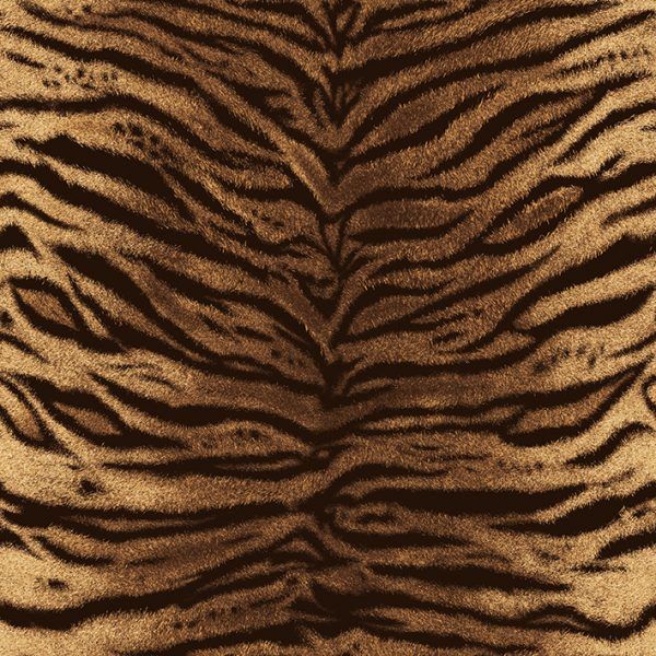 a close up view of the skin of a tiger