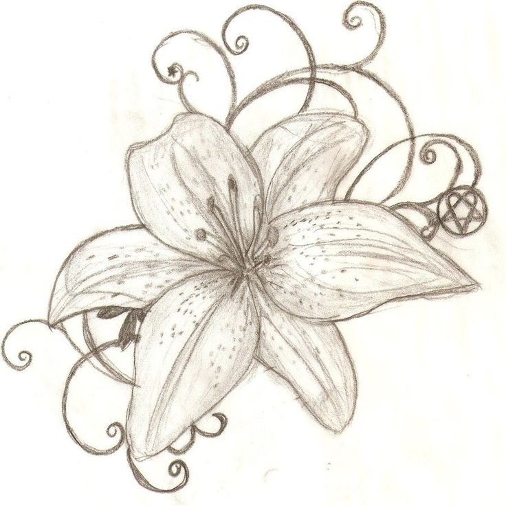 a drawing of a flower with swirls on it