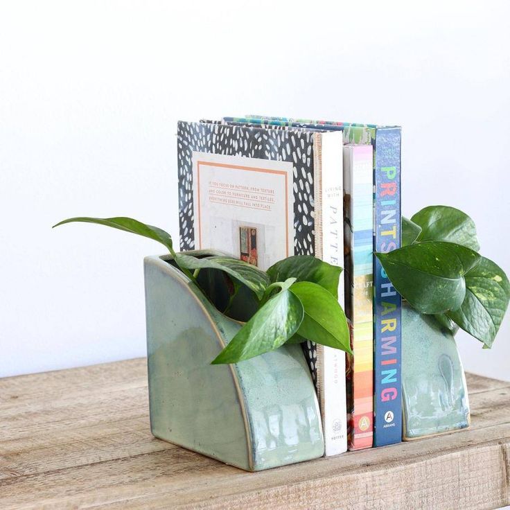 a bookend with books and a plant in it