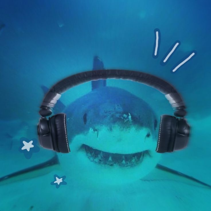 a shark with headphones swimming in the ocean