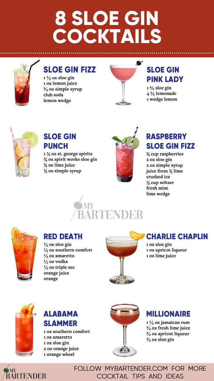 Sloe Gin Cocktails Gin Recipes Cocktails, Gin Lemon Cocktail, Gin Cocktails Easy, Sloe Gin Recipe, Sloe Gin Cocktails, Sloe Gin Fizz, Gin Drink Recipes, Easy Gin Cocktails, Best Gin Cocktails