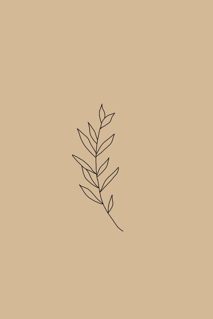 a black and white line drawing of a leaf on a beige background with the words,