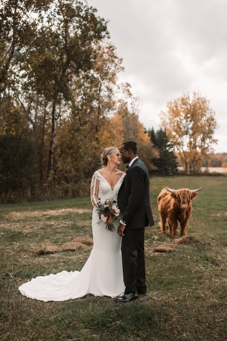 ontario wedding, farm wedding, highland cow Highland Cow Wedding Photos, Cow At Wedding, Highland Cow Engagement Photos, Wedding Photos With Cows, Wedding With Cows, Farm Wedding Picture Ideas, Highland Cow Wedding, Cow Wedding, Country Farm Wedding