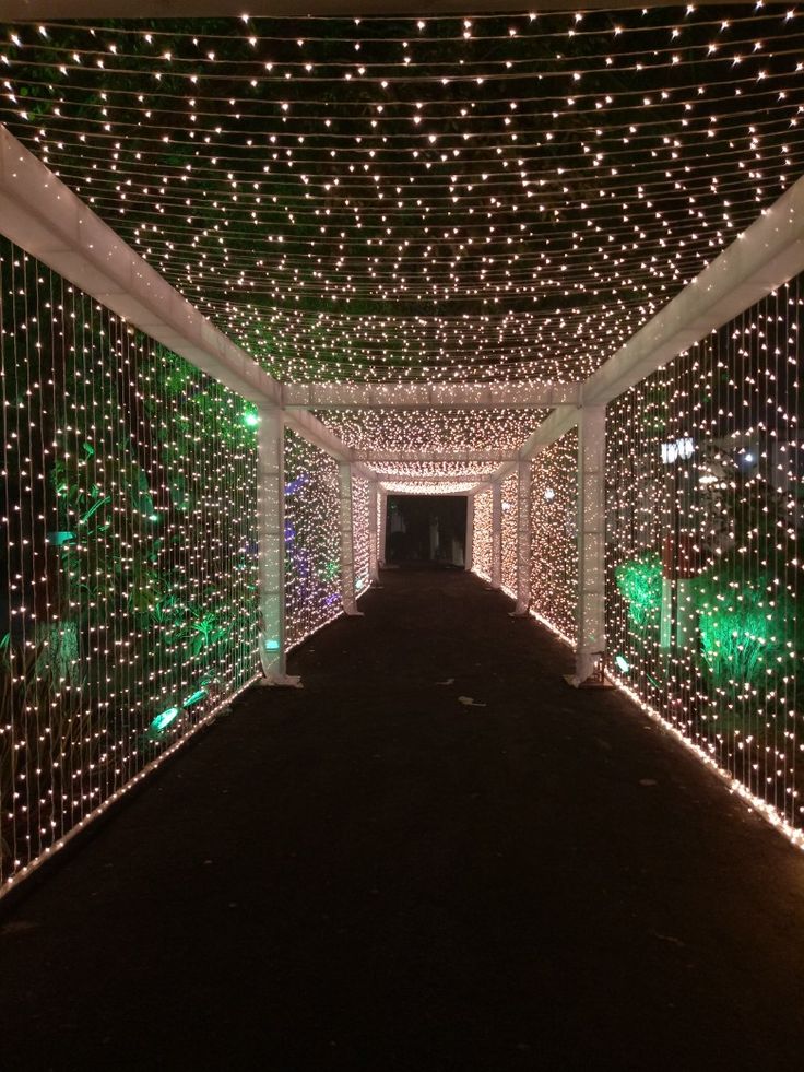 the walkway is covered in hundreds of christmas lights