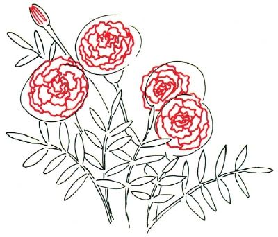 three red flowers with green stems on a white background, drawn in pen and ink