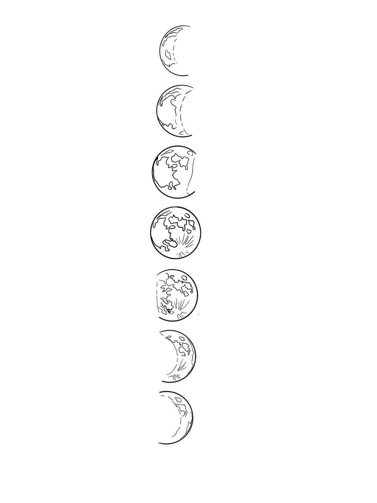 the seven zodiac signs are drawn in black and white