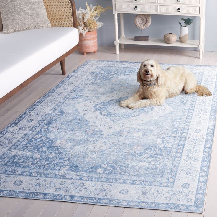 a white dog laying on top of a blue rug