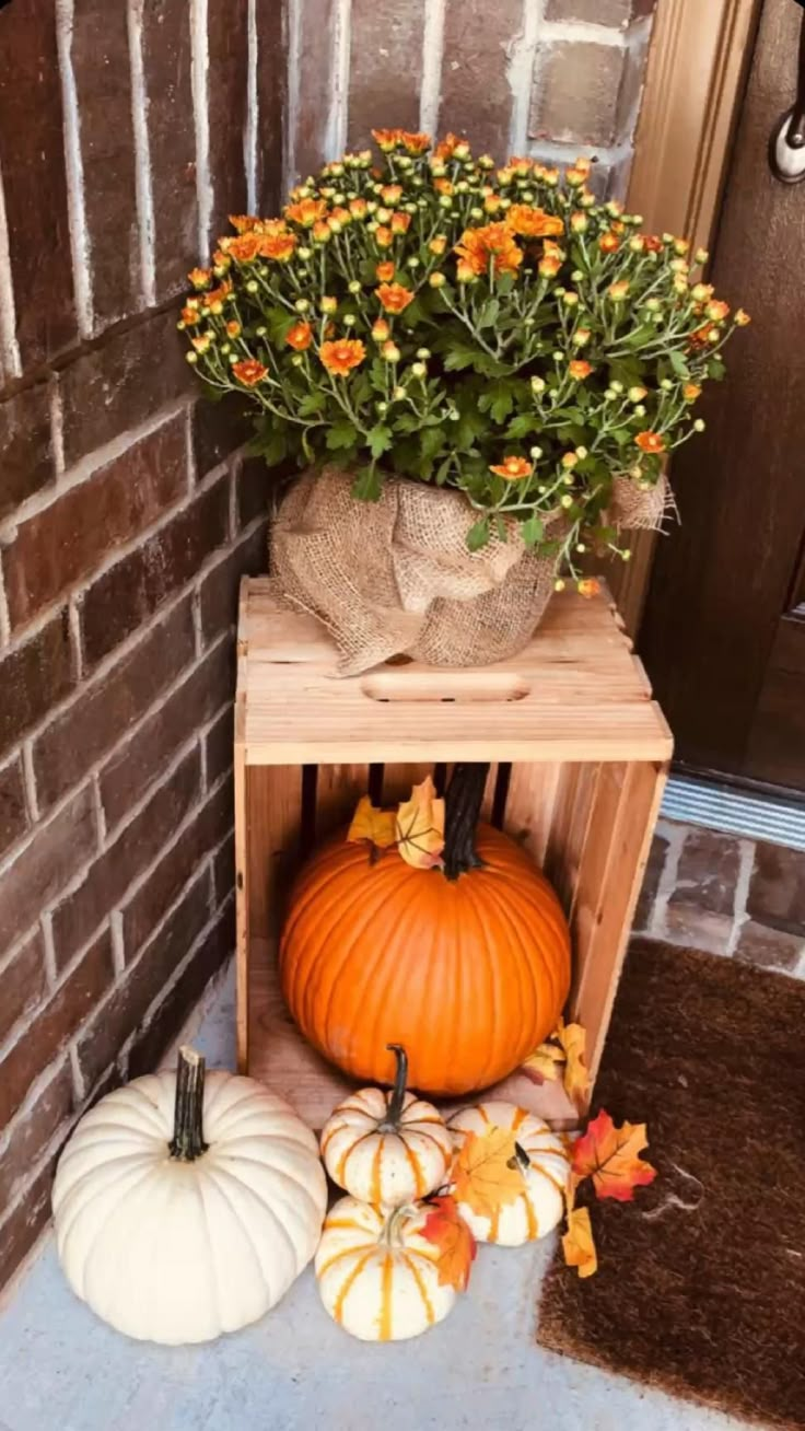 three pumpkins are sitting next to each other in front of a brick wall and door