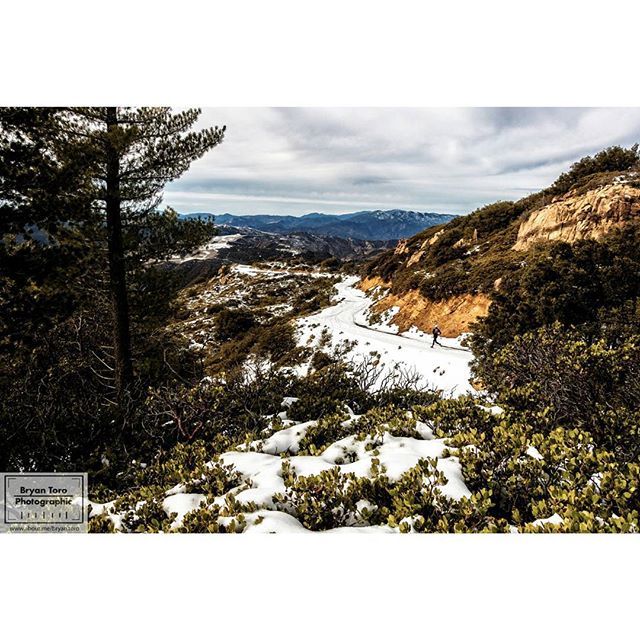 snow covered ground with trees and mountains in the background