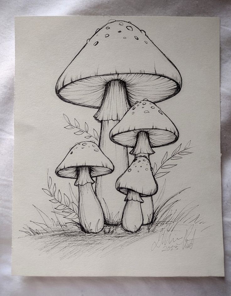 a drawing of three mushrooms in the grass