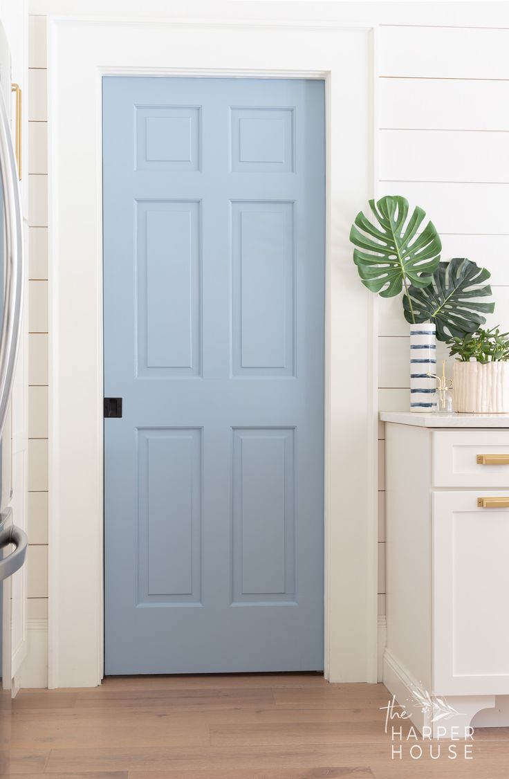 a blue door in a white room with potted plants on the floor and a plant next to it