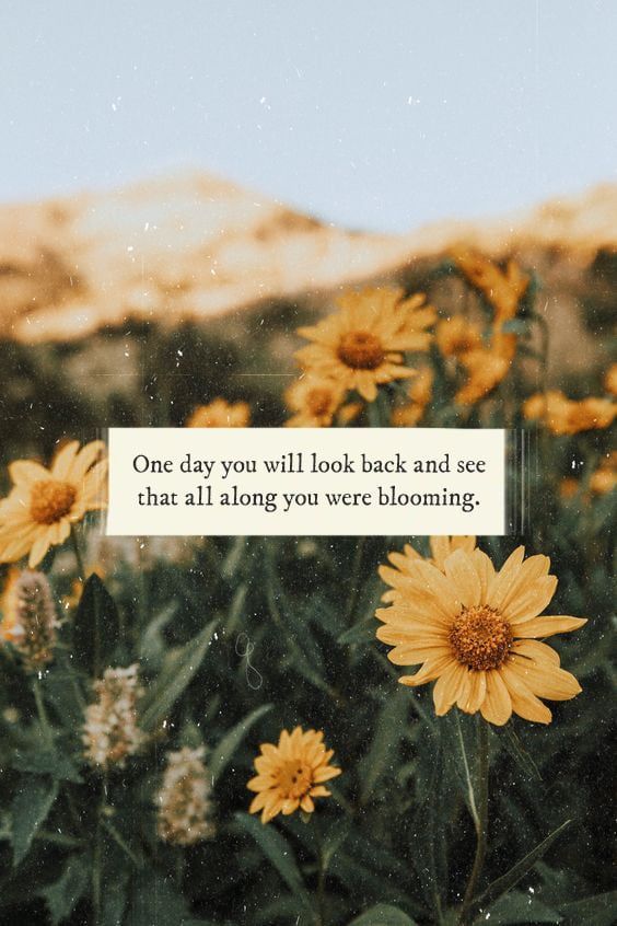 a field full of yellow flowers with a quote on the side that says, one day you will look back and see that all i long you were blooming