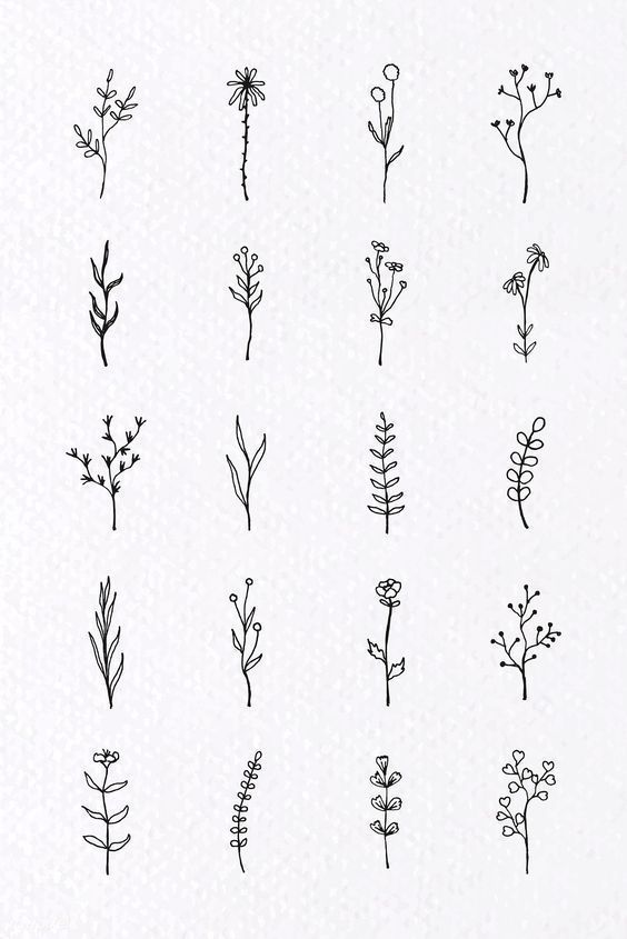 the different types of flowers are drawn in black ink on white paper, and each flower has