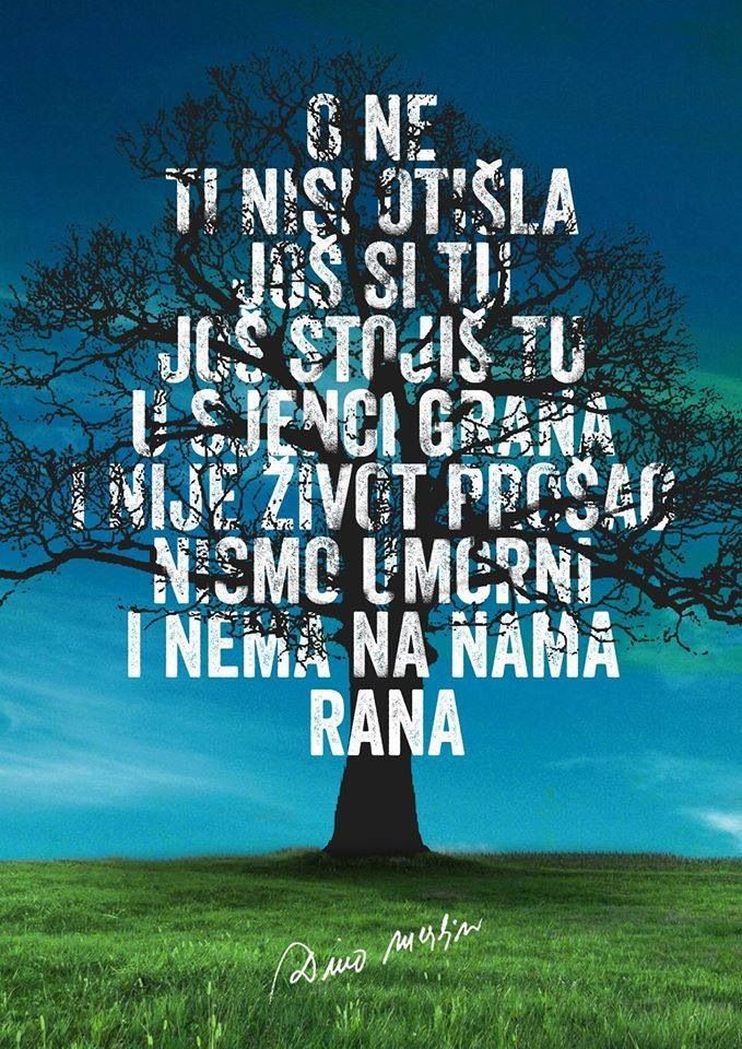 a tree with the words written in different languages