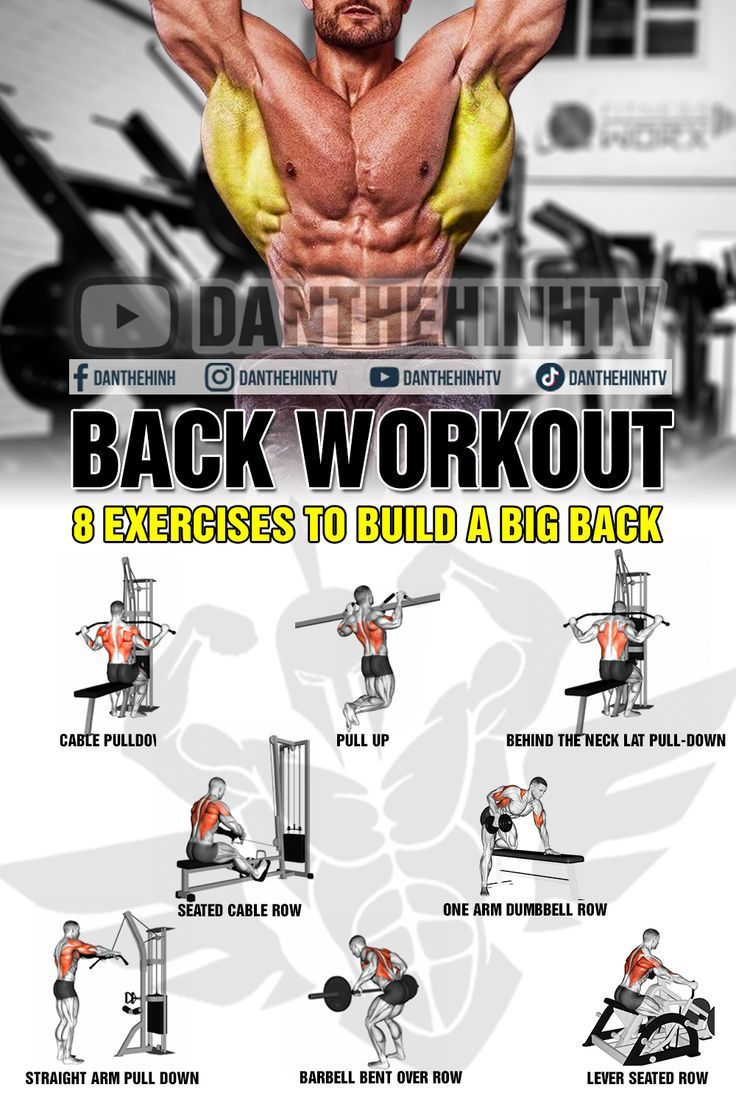 the back workout poster shows how to do it