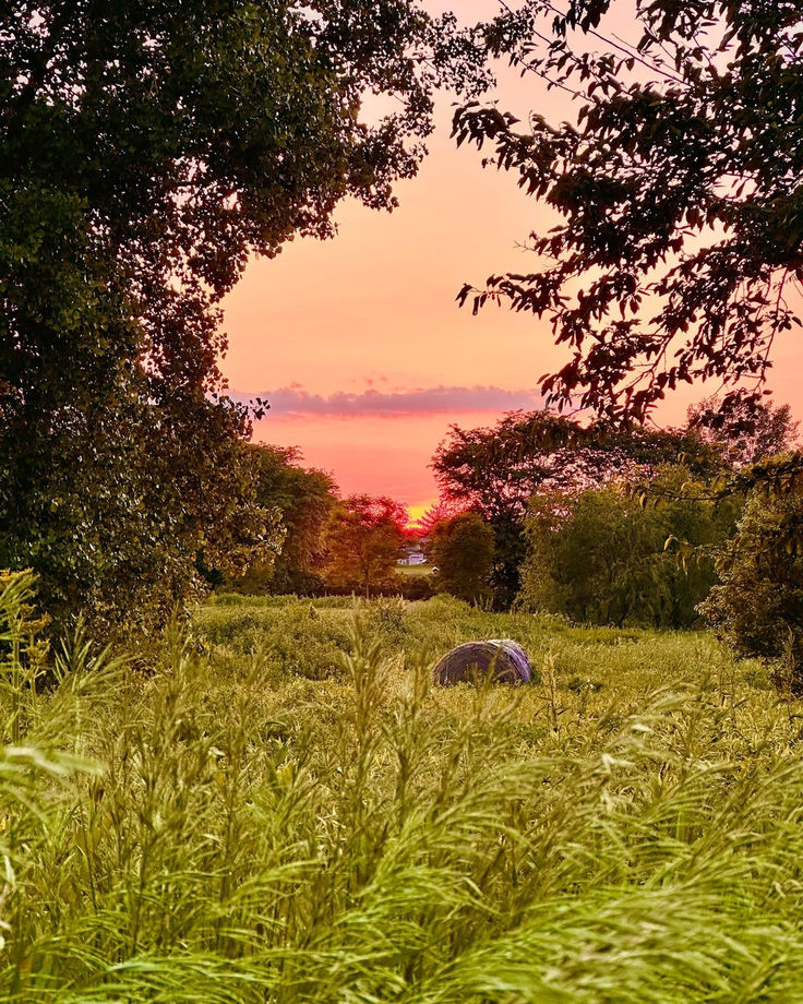 Sunsets in the lush Iowa countryside. 🙌🌄 Iowa Aesthetic, Evening Sky, Iowa, Lush, Collage, Pins, Quick Saves