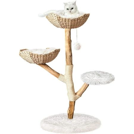 a cat sitting on top of a tree with two cats in it's branches