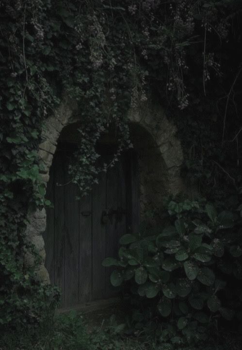 an old door surrounded by vines and plants