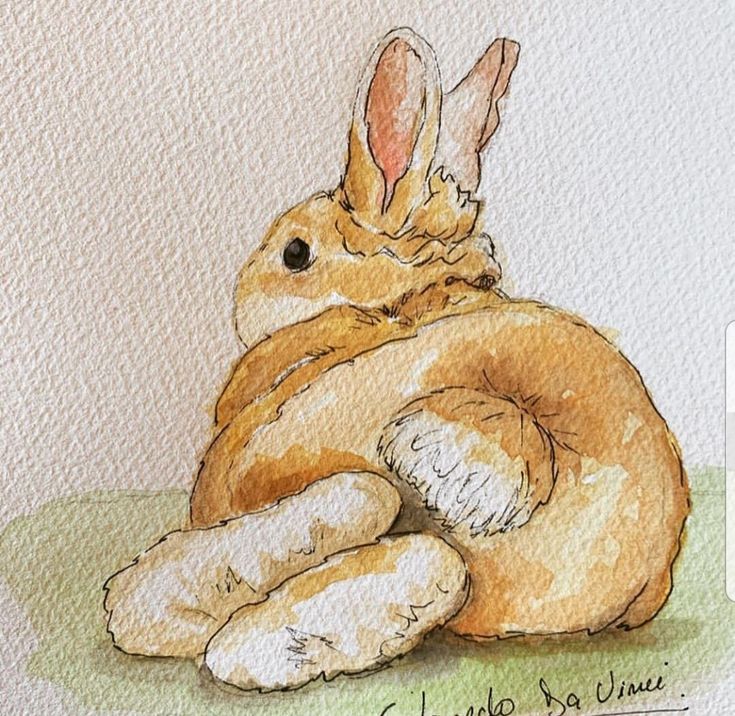 a watercolor painting of a brown bunny sitting on the ground with its legs crossed