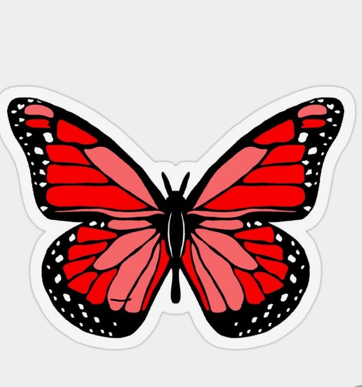 a red butterfly with black spots on its wings