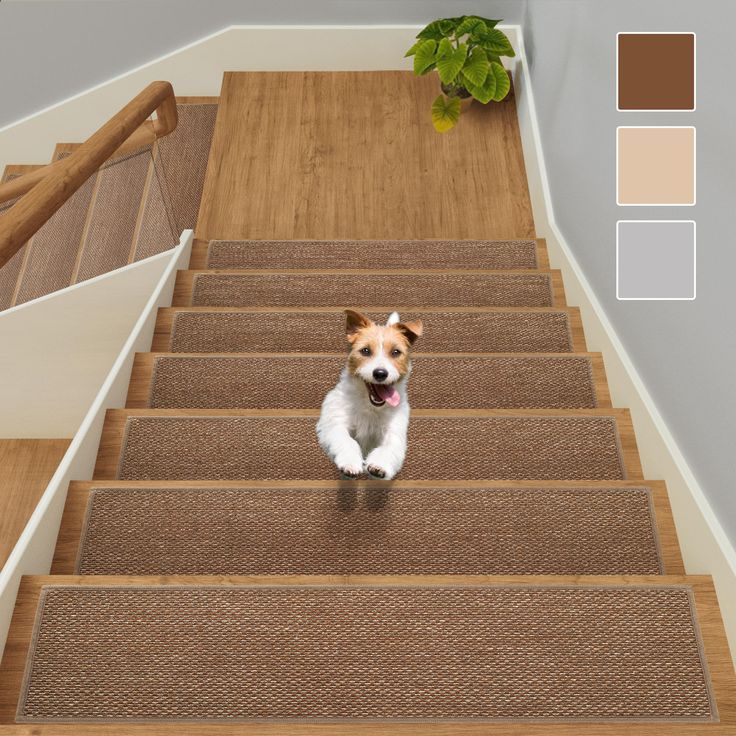 a small dog is sitting on the carpeted stairs in front of a potted plant