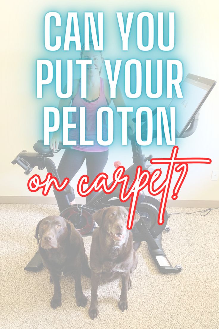 two dogs sitting on the floor next to a woman with a laptop and text that reads can you put your peloton on carpet?