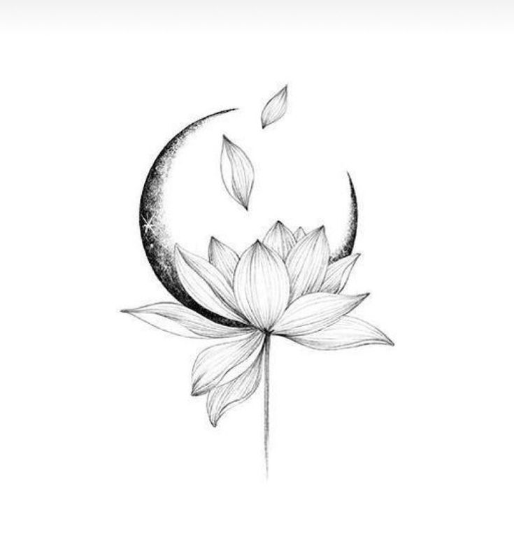 a black and white drawing of a lotus flower with the moon in the back ground