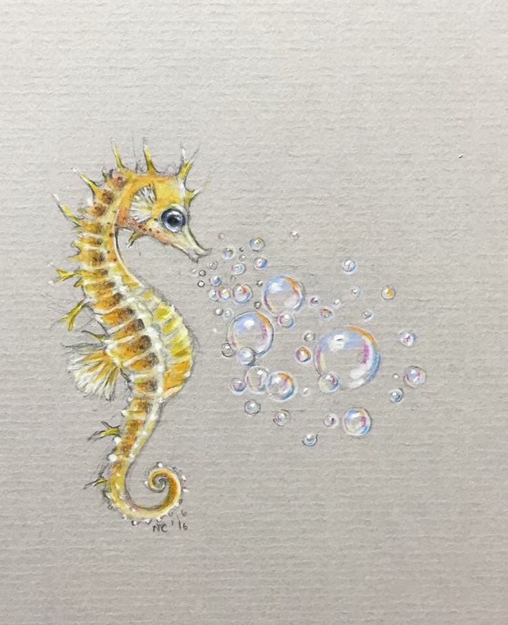 an image of a seahorse with bubbles on it