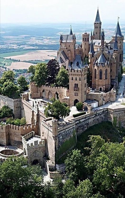 an aerial view of a castle in the middle of trees