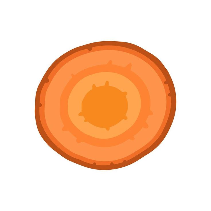 an orange slice is shown on a white background