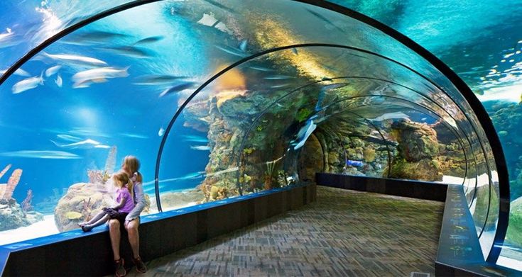 a woman sitting on a bench in front of an aquarium