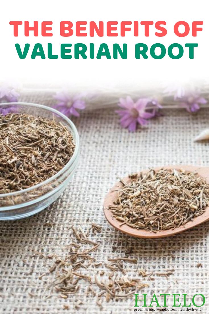 Valerian Root Tea Benefits, Valerian Tea Benefits, Benefits Of Valerian Root, Valerian Benefits, Valerian Root Benefits, Valerian Plant, Medicinal Teas, Ritual Herbs, Valerian Tea