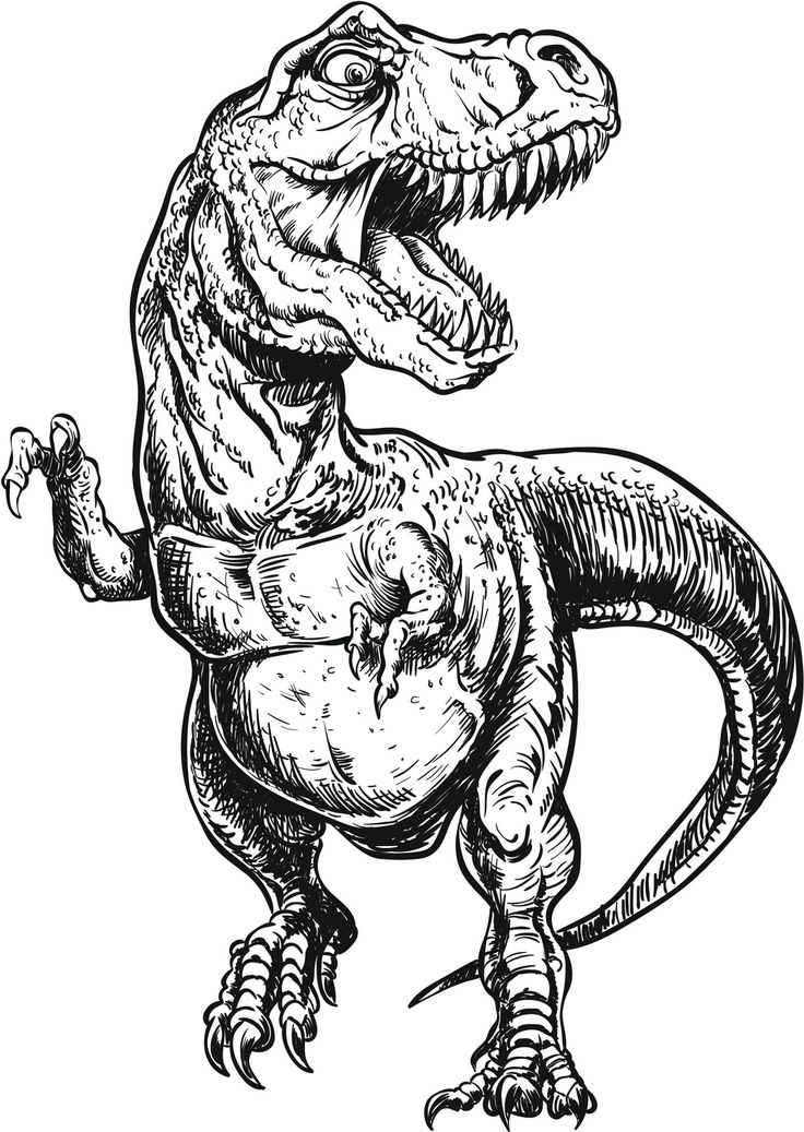 an image of a t - rex dinosaur in black and white royalty photo, illustration or drawing