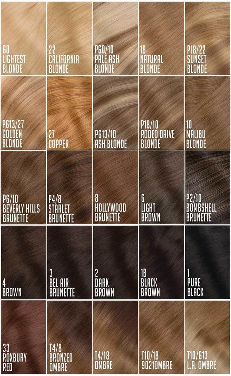 Brown Hair Color Chart, Hair Chart, Hair Lights, Cashmere Hair, Different Shades Of Brown, Red Things, Brown Hair Shades, Colored Hair Extensions, Hair Color Chart