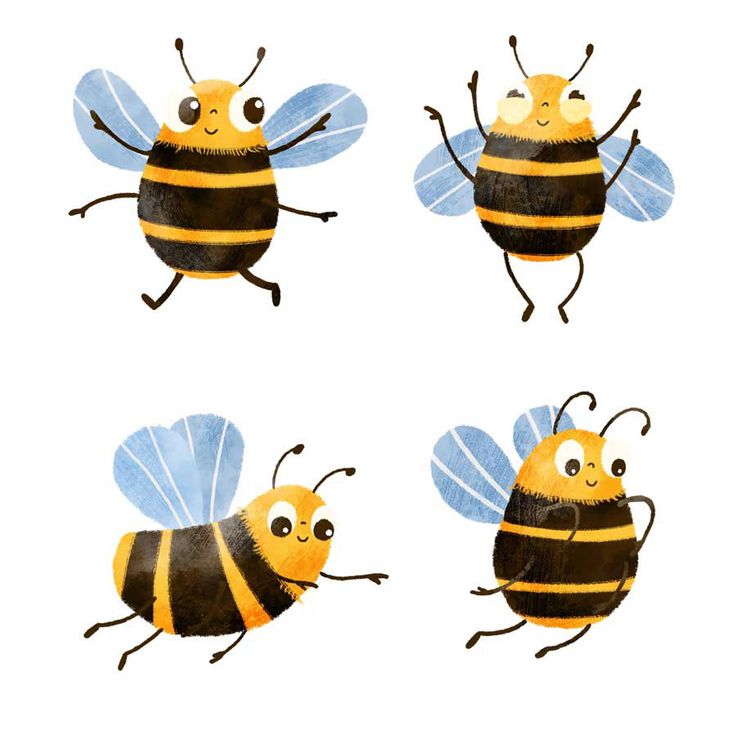 three bees are flying in the air with their legs spread out and eyes wide open