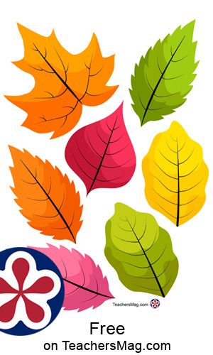 four different colored leaves on a white background with the words freemag below it