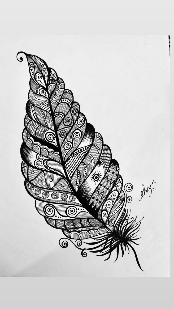 a black and white drawing of a feather