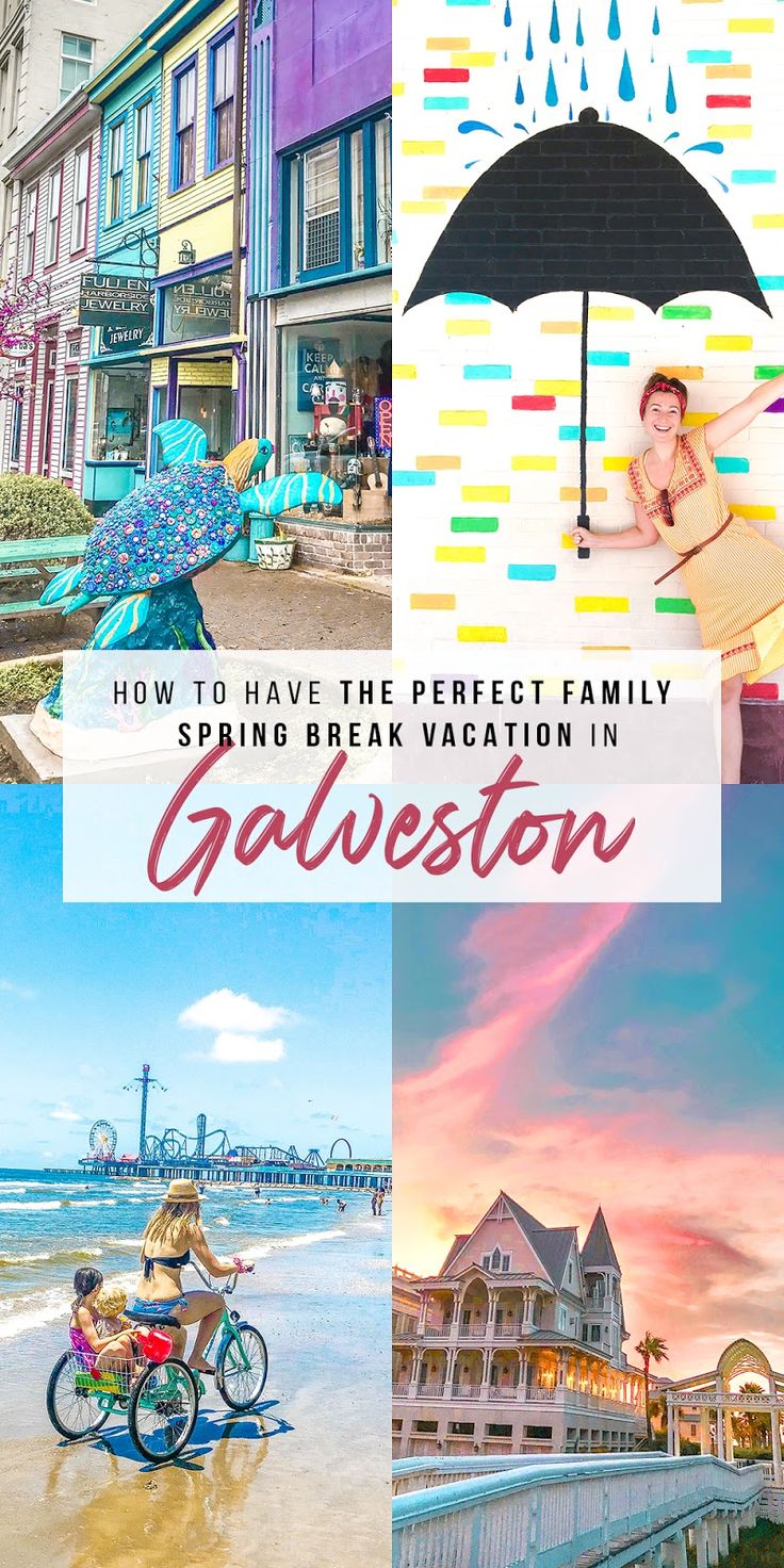 the words, how to have the perfect family spring break vacation in charleston