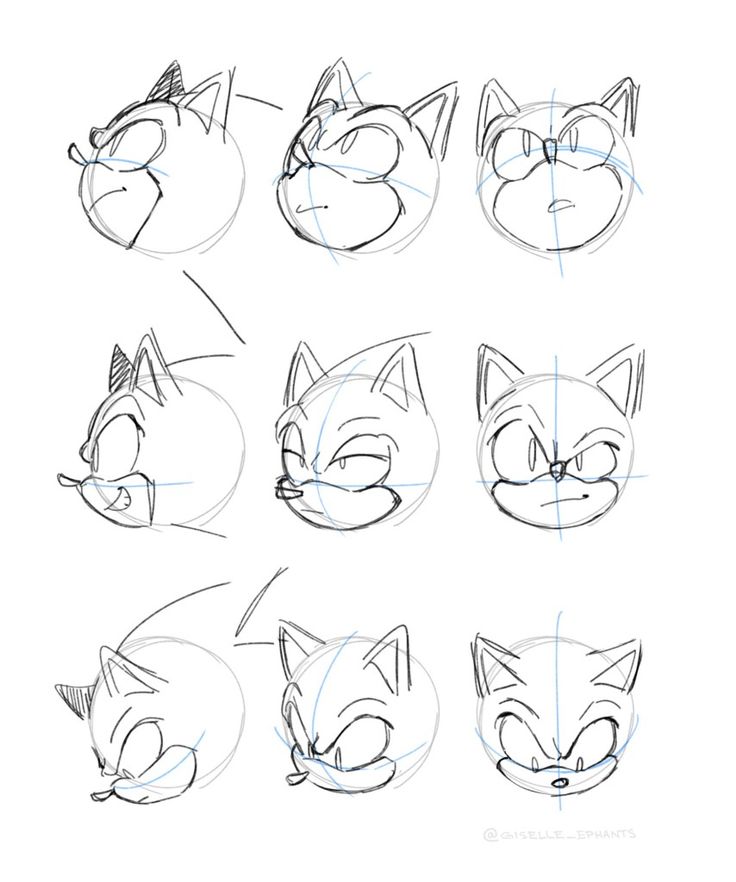 how to draw an angry cat with different expressions and head shapes, step by step