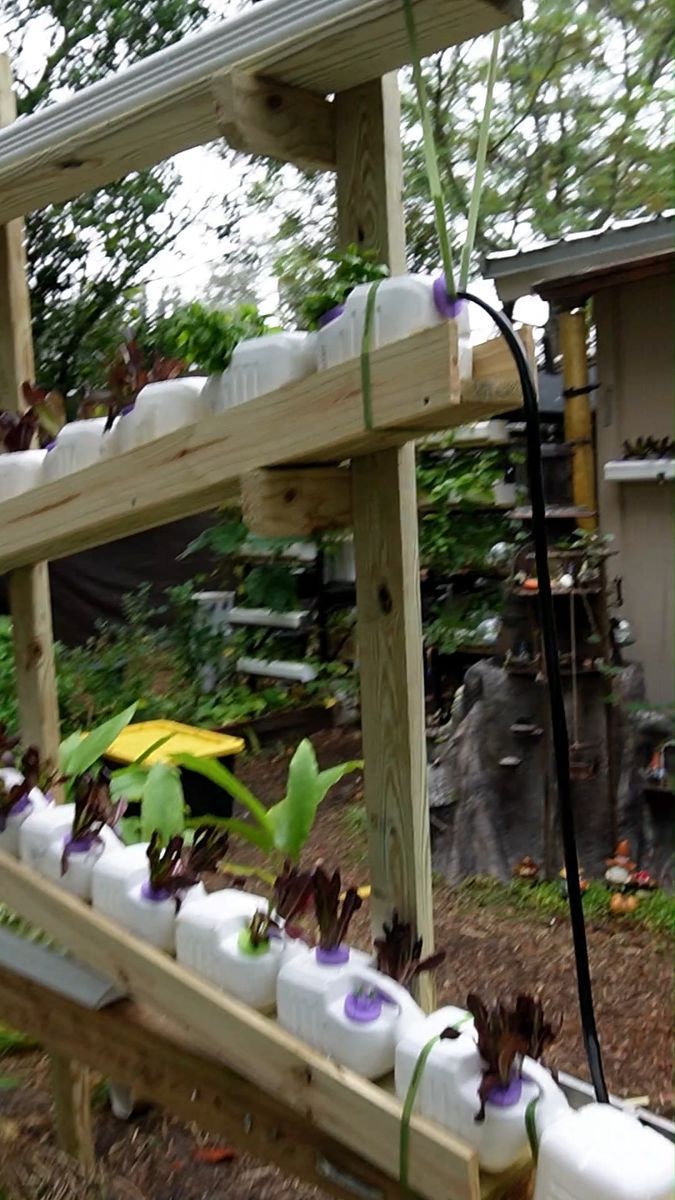 a garden filled with lots of plants and water bottles on top of a wooden shelf