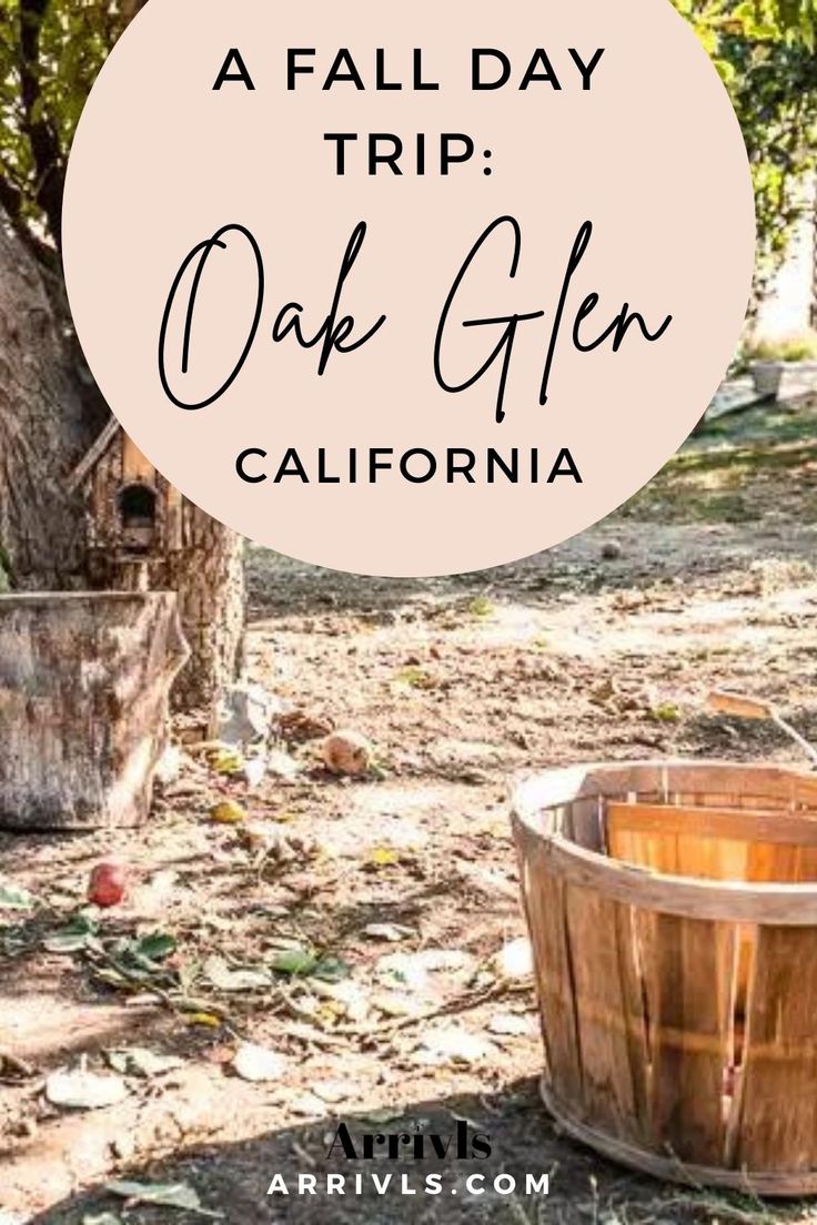 a wooden barrel sitting next to a tree with text overlay that reads a fall day trip oak glen california