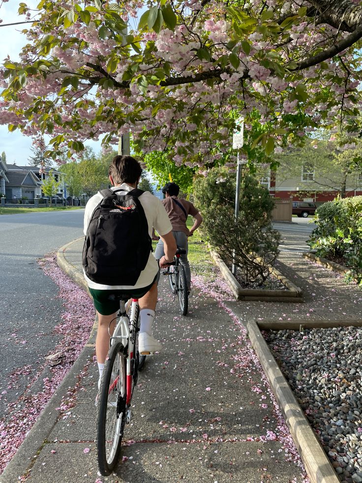 two bicyclists are riding down the street in front of some trees with pink flowers