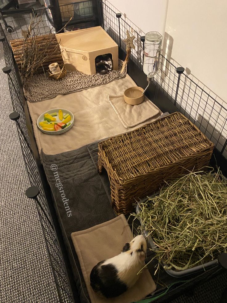 a cat laying on top of a bed covered in hay next to boxes and baskets