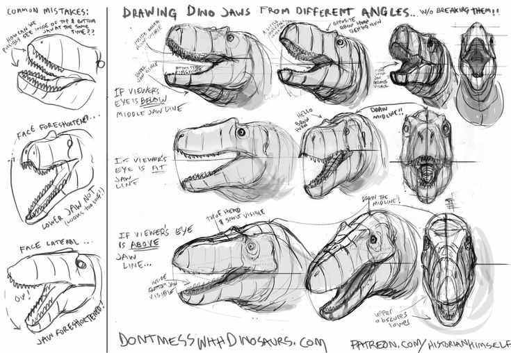 some sketches of different types of dinosaurs and their heads are shown in this drawing book