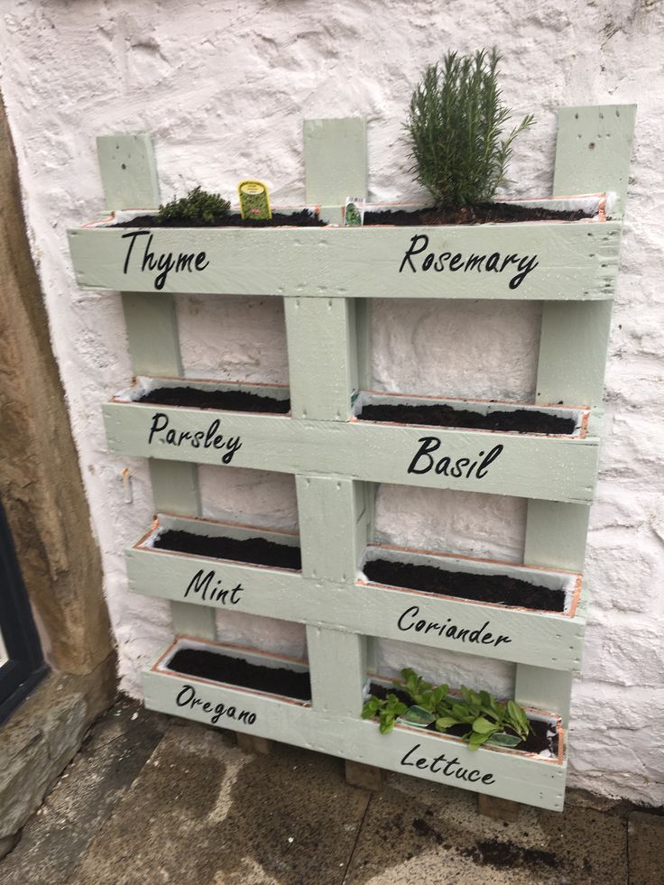 a wooden pallet with plants growing in it on the side of a building that says thyme rosemary, basil, parsley and mint