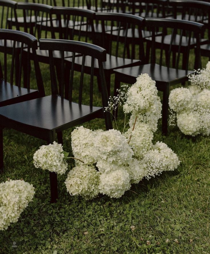 rows of black chairs with white flowers on the ground in front of them and grass behind them