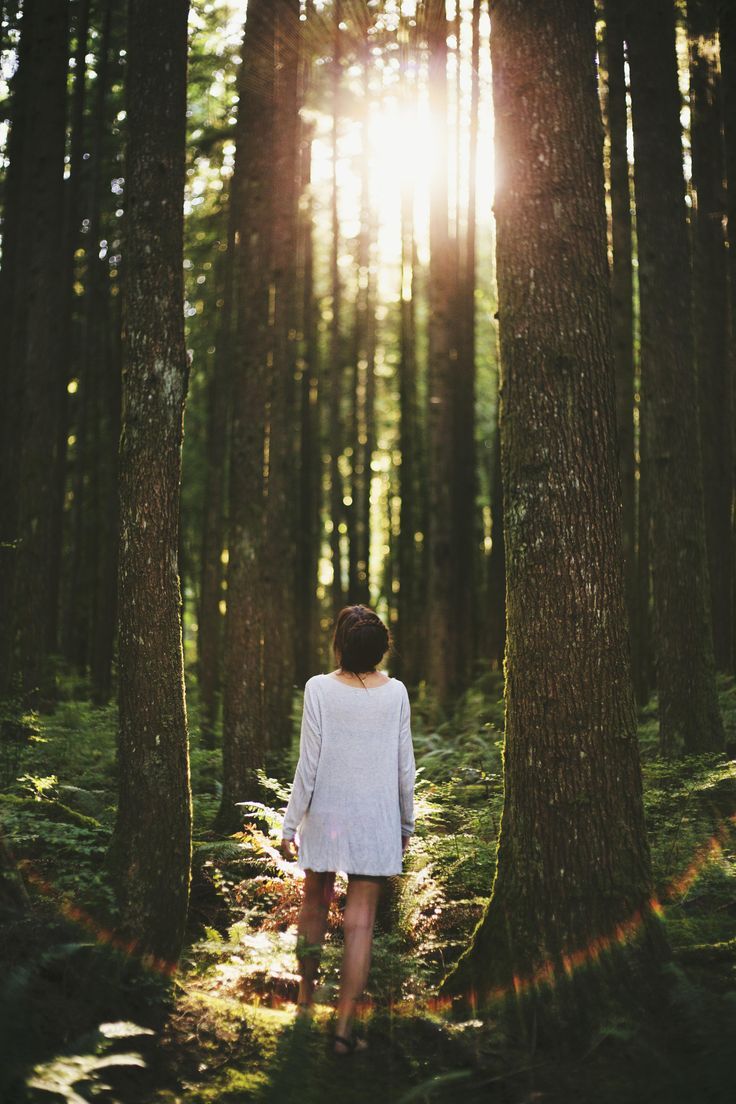 a woman standing in the middle of a forest looking at the sun shining through the trees