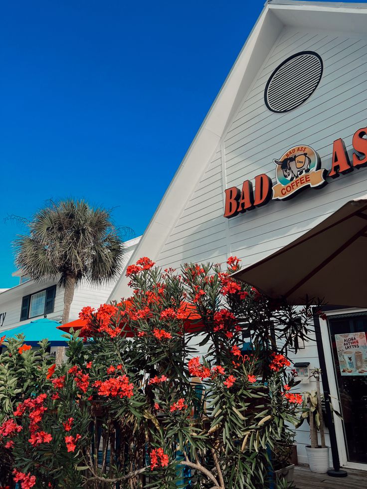 the outside of a restaurant with red flowers in front and palm trees on the other side