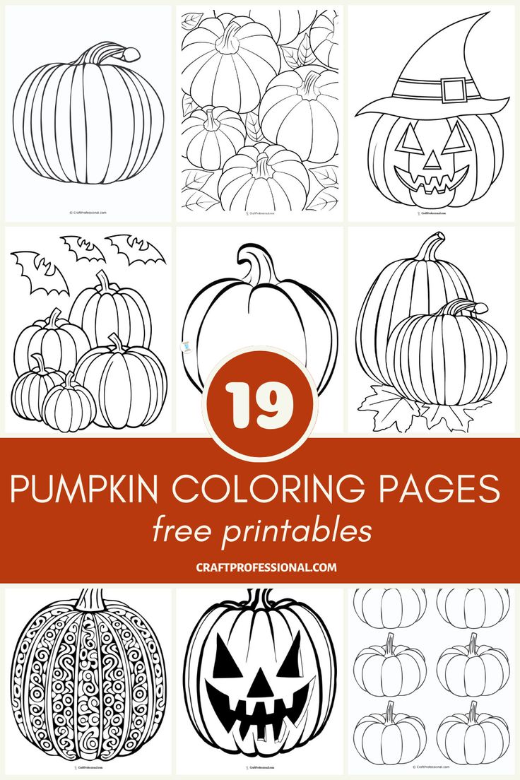 pumpkin coloring pages for kids with the title 19 pumpkin coloring pages free printables