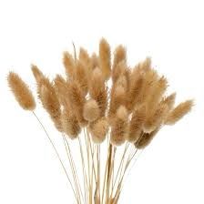 some dry grass in a vase on a white background